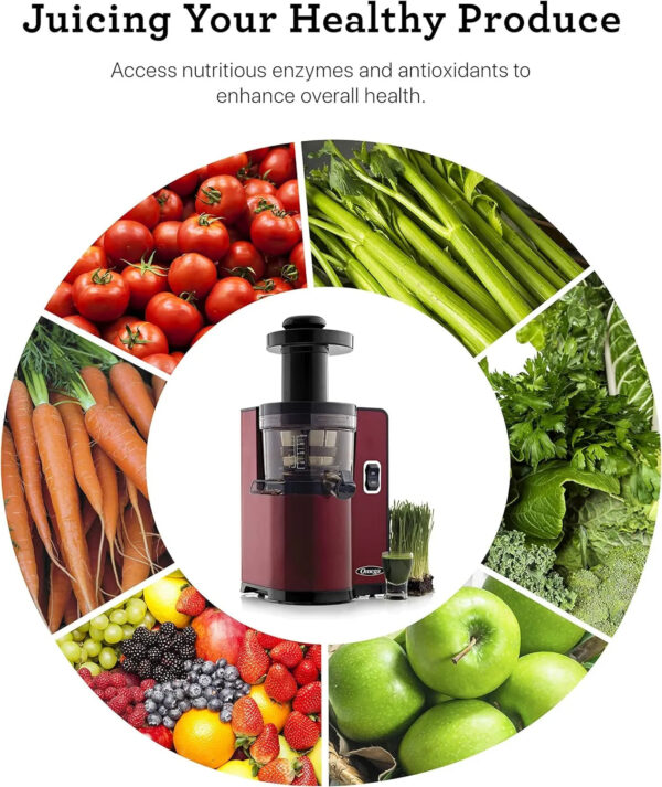 Vertical Masticating Juicer, 43 RPM Compact Cold Press Juicer Machine with Automatic Pulp Ejection, 150 W, Red - Image 6