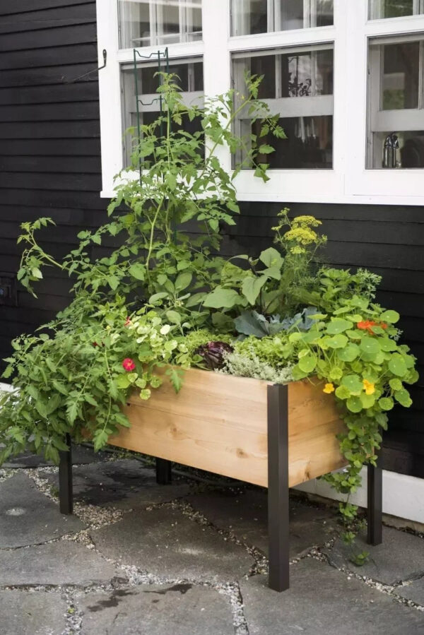 Watering Eco-Stained Elevated Planter Box - Image 8