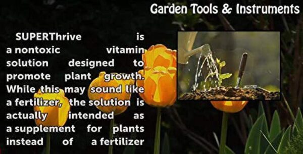 Superthrive Plant Vitamin Solution, 1 Gal – Boosts Growth & Reduces Shock, Ideal for All Gardens - Image 2