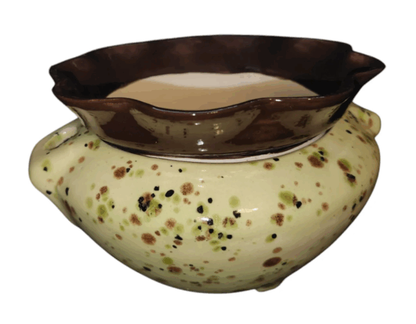 Ceramic Violet Pot - Medium