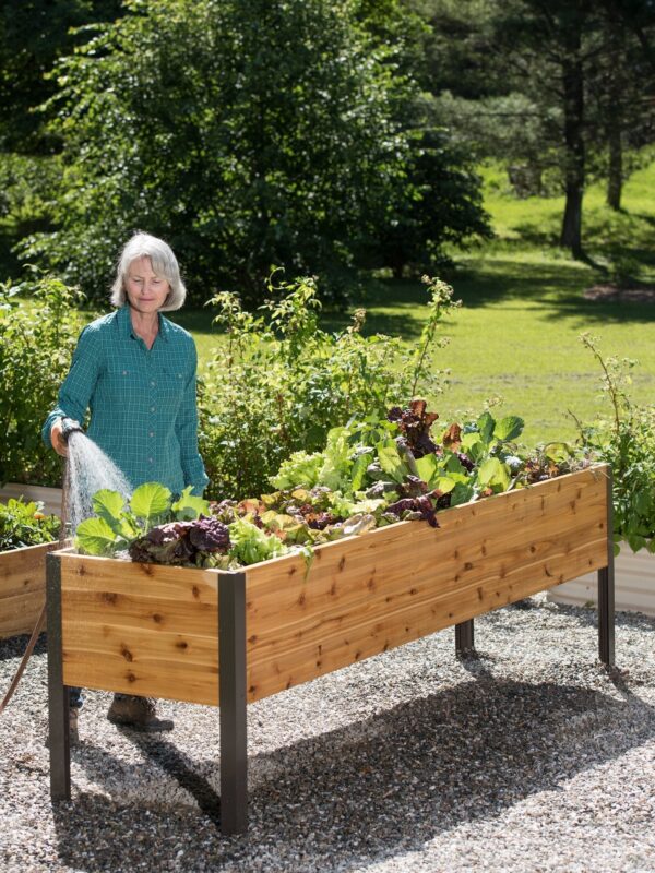 Watering Eco-Stained Elevated Planter Box - Image 2