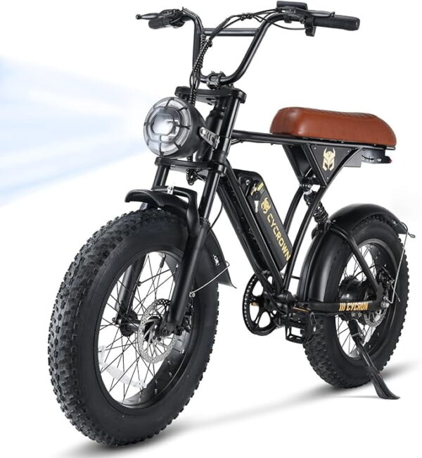W1-CycRun Electric Bike for Adults 750W Motor with 36V 10.4 Battery, 20MPH 55Miles Moped Style Ebike for Adults, 20" Fat Tire Commuting Off Road Mountain Ebike