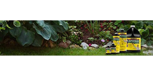 Superthrive Plant Vitamin Solution, 1 Gal – Boosts Growth & Reduces Shock, Ideal for All Gardens - Image 3